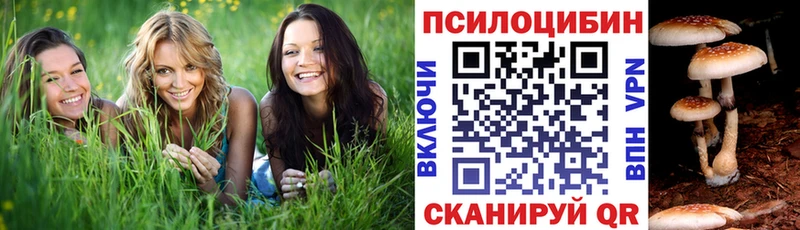 Псилоцибиновые грибы мухоморы Валдай